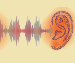 imagen de onda y oreja