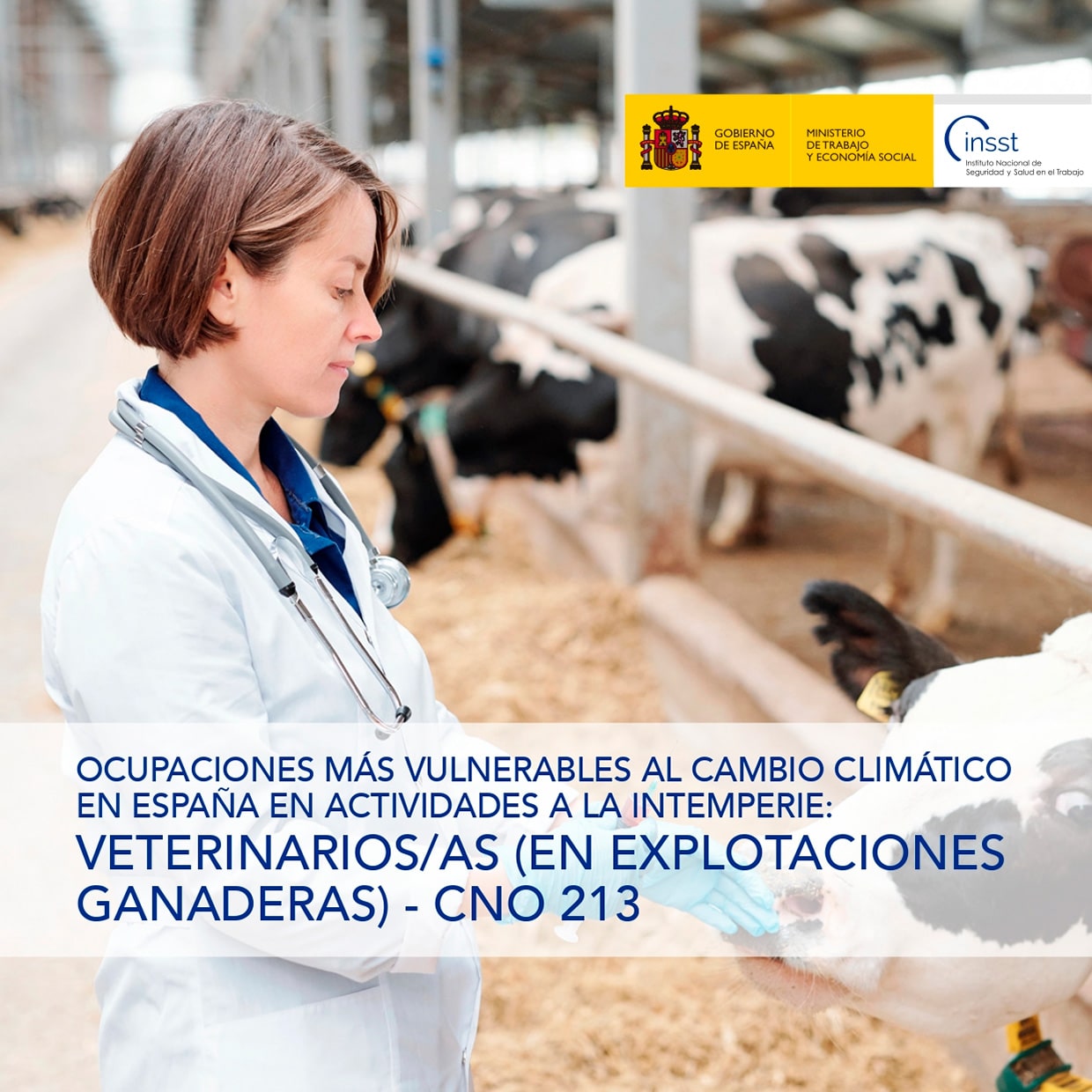 Ficha catalogo detalle tpl n1764907575850