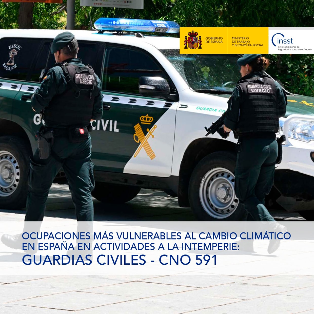 Ficha catalogo detalle tpl n1763035786606