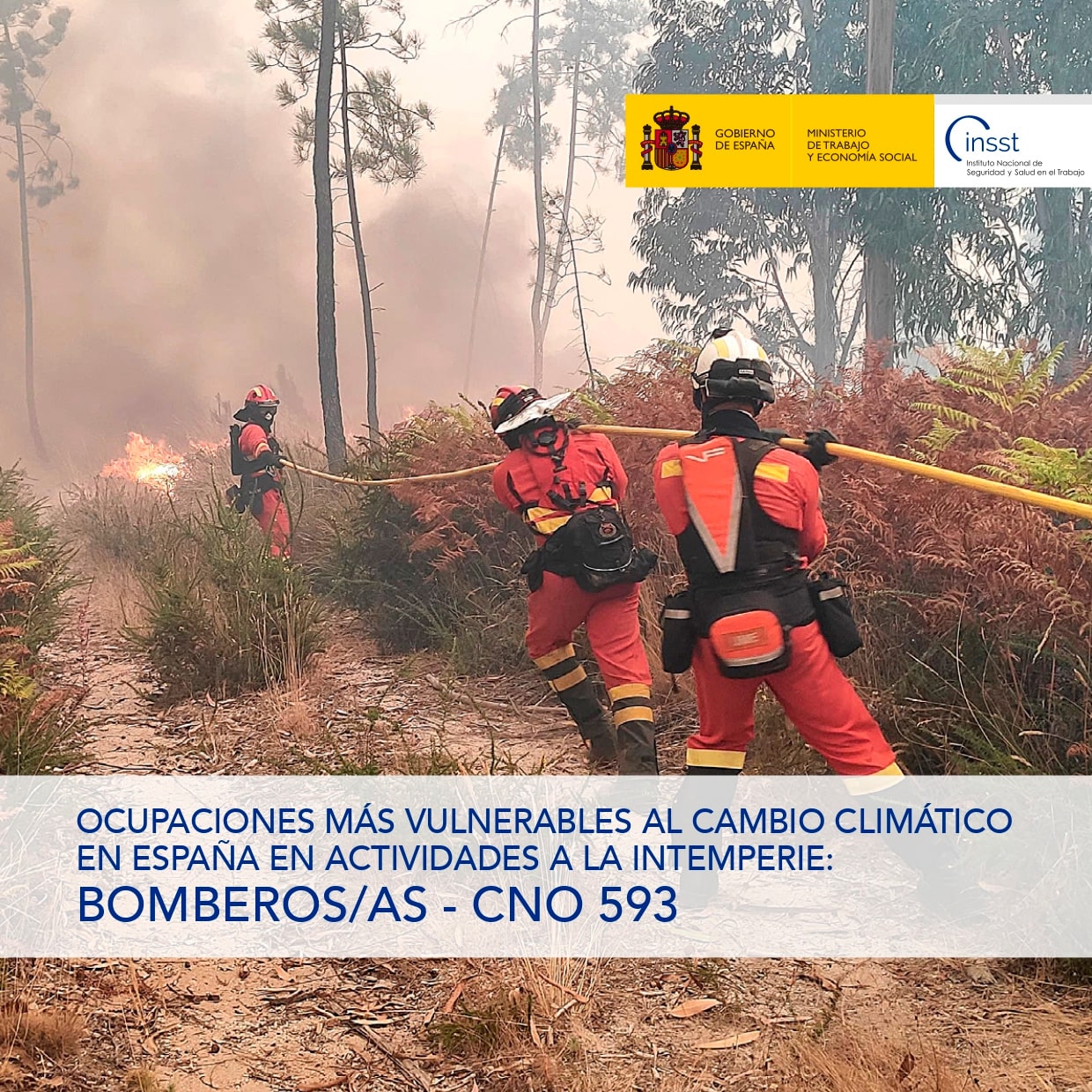 Ocupaciones más vulnerables al cambio climático en España en actividades a la intemperie: Bomberos/as - CNO 593 - Año 2025