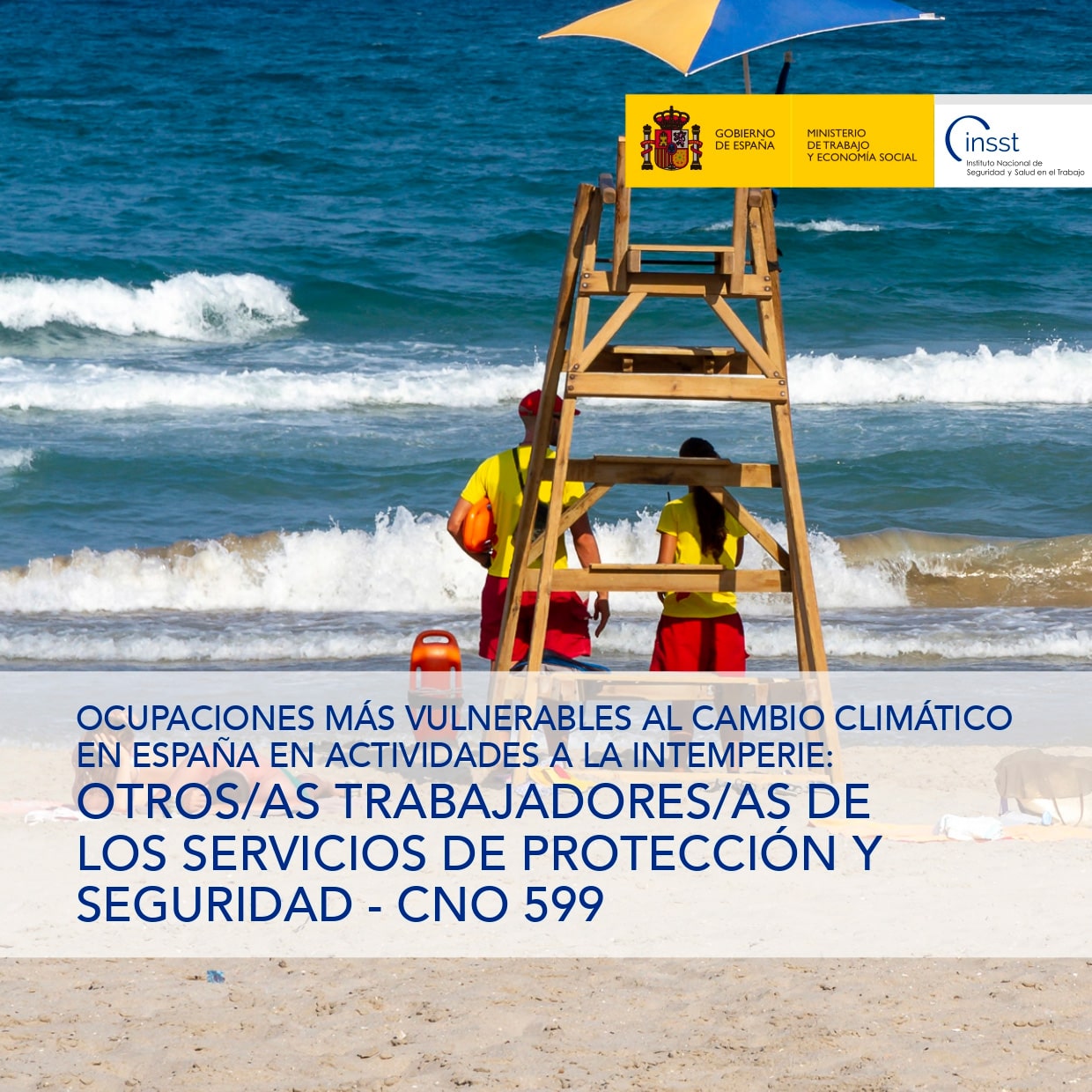 Ficha catalogo detalle tpl n1764907577523