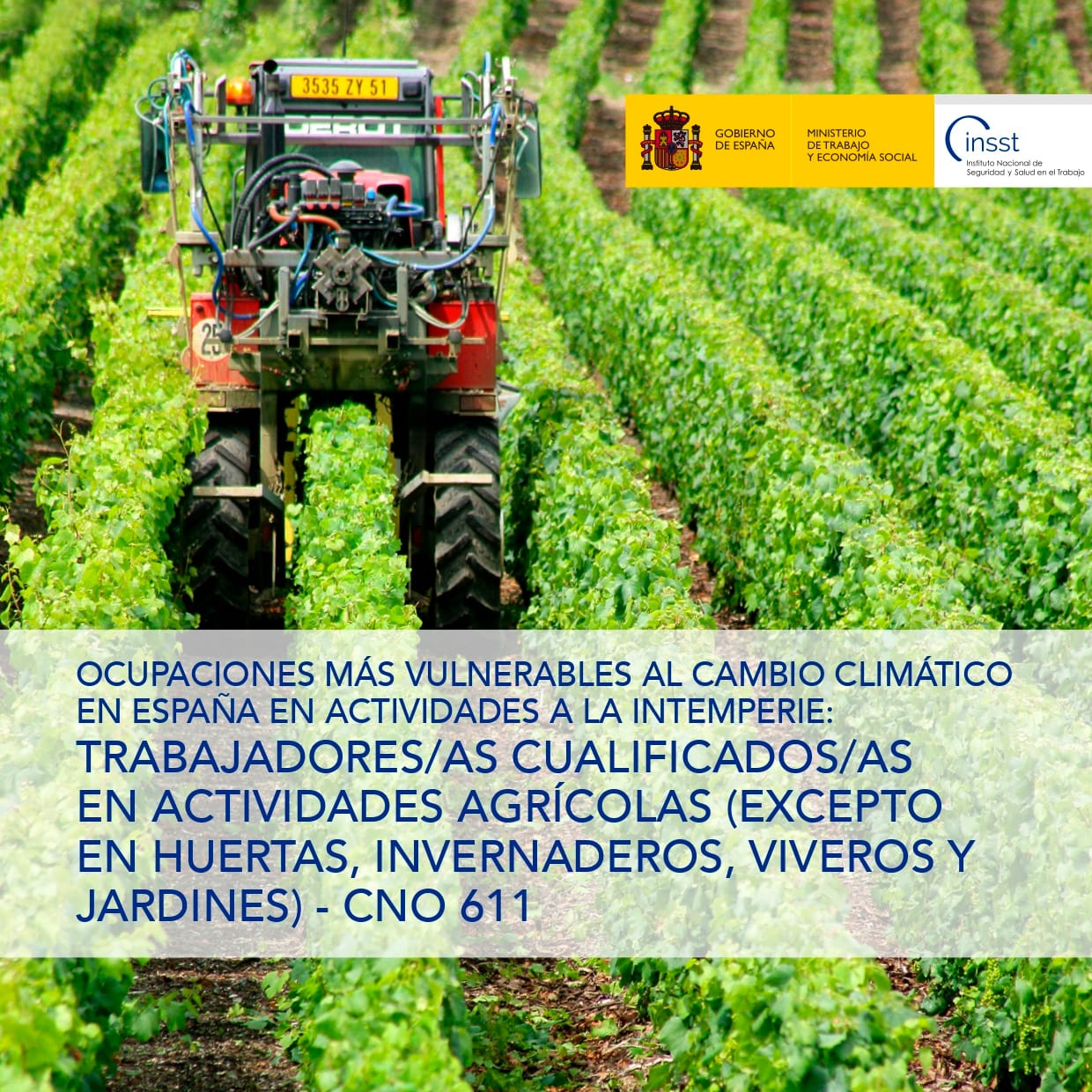 Ocupaciones más vulnerables al cambio climático en España en actividades a la intemperie: Trabajadores/as cualificados/as en actividades agrícolas (excepto en huertas, invernaderos, viveros y jardines) - CNO 611 - Año 2025