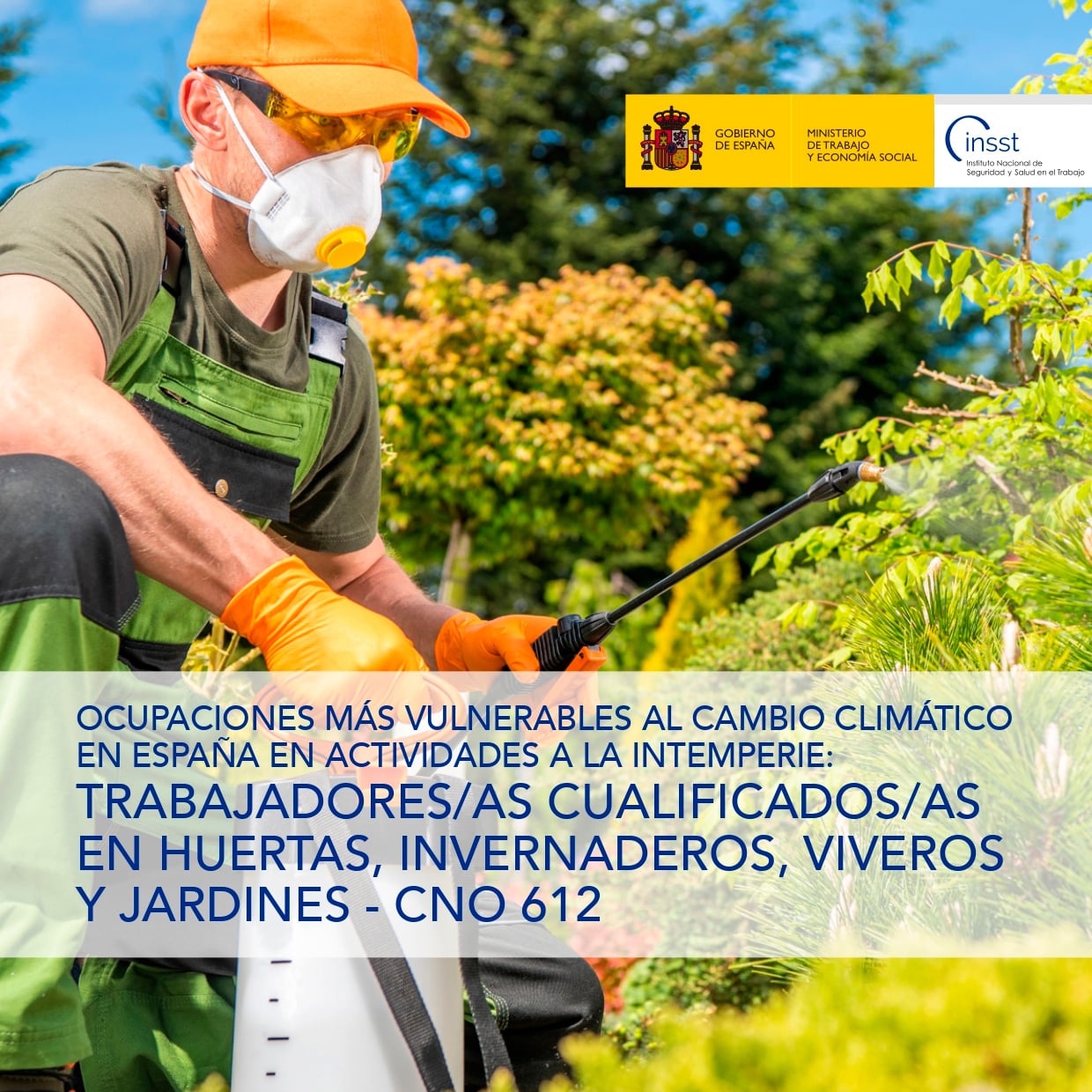 Ocupaciones más vulnerables al cambio climático en España en actividades a la intemperie: Trabajadores/as cualificados/as en huertas, invernaderos, viveros y jardines - CNO 612 - Año 2025