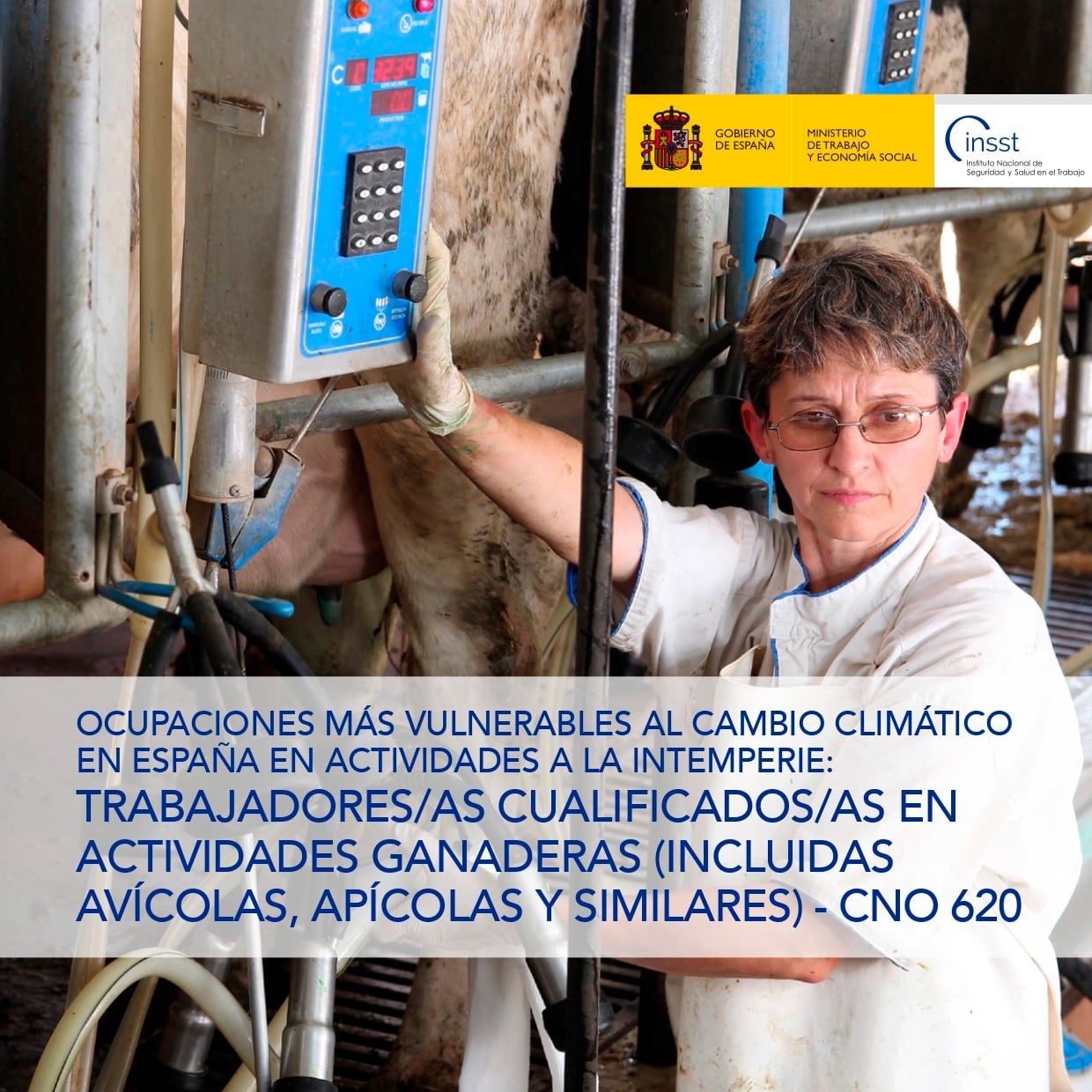 Ficha catalogo detalle tpl n1764907575850