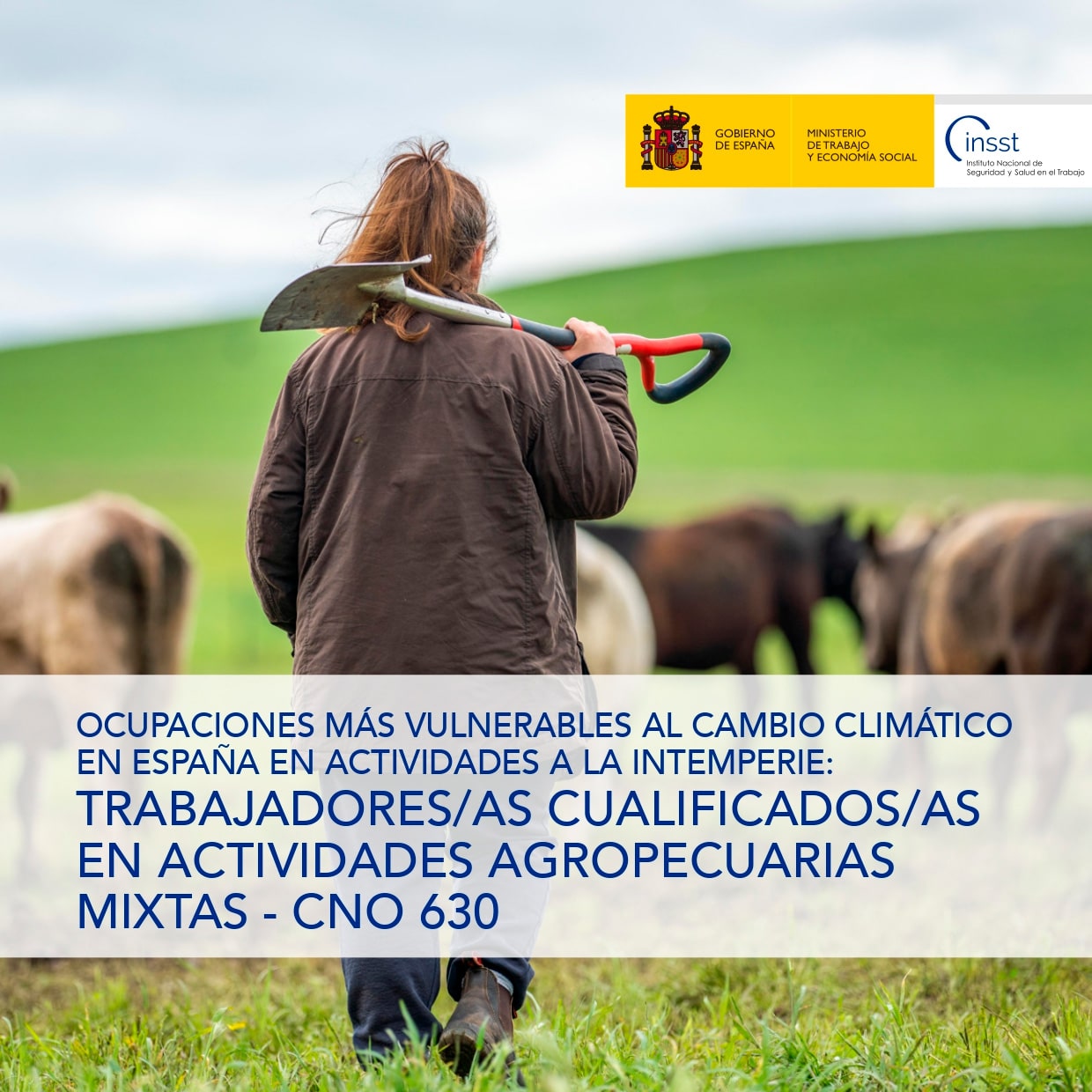 Ficha catalogo detalle tpl n1764907575850