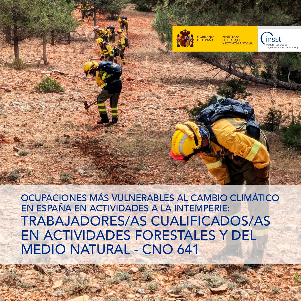 Ocupaciones más vulnerables al cambio climático en España en actividades a la intemperie: Trabajadores/as cualificados/as en actividades forestales y del medio natural - CNO 641 - Año 2025