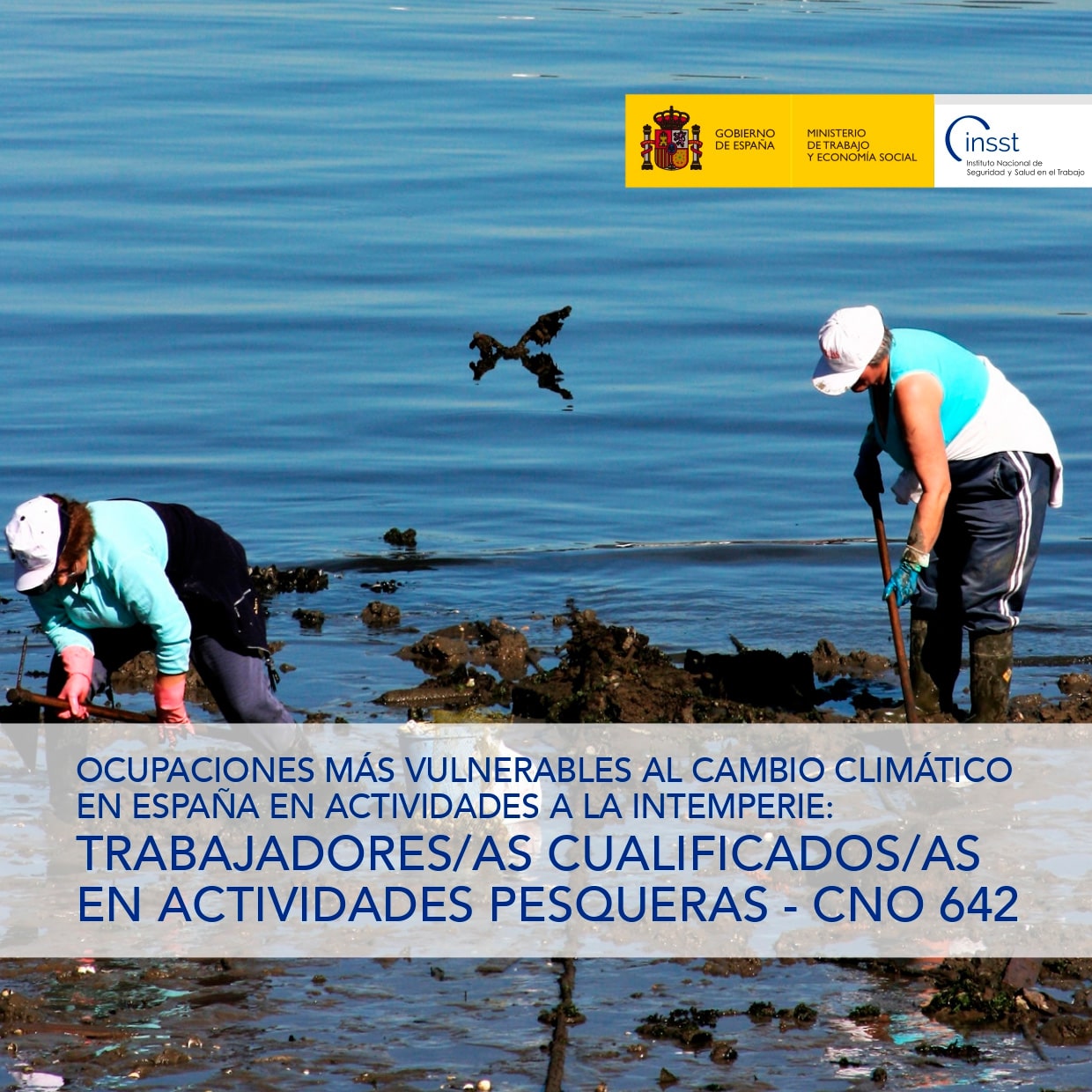 Ficha catalogo detalle tpl n1764907575851