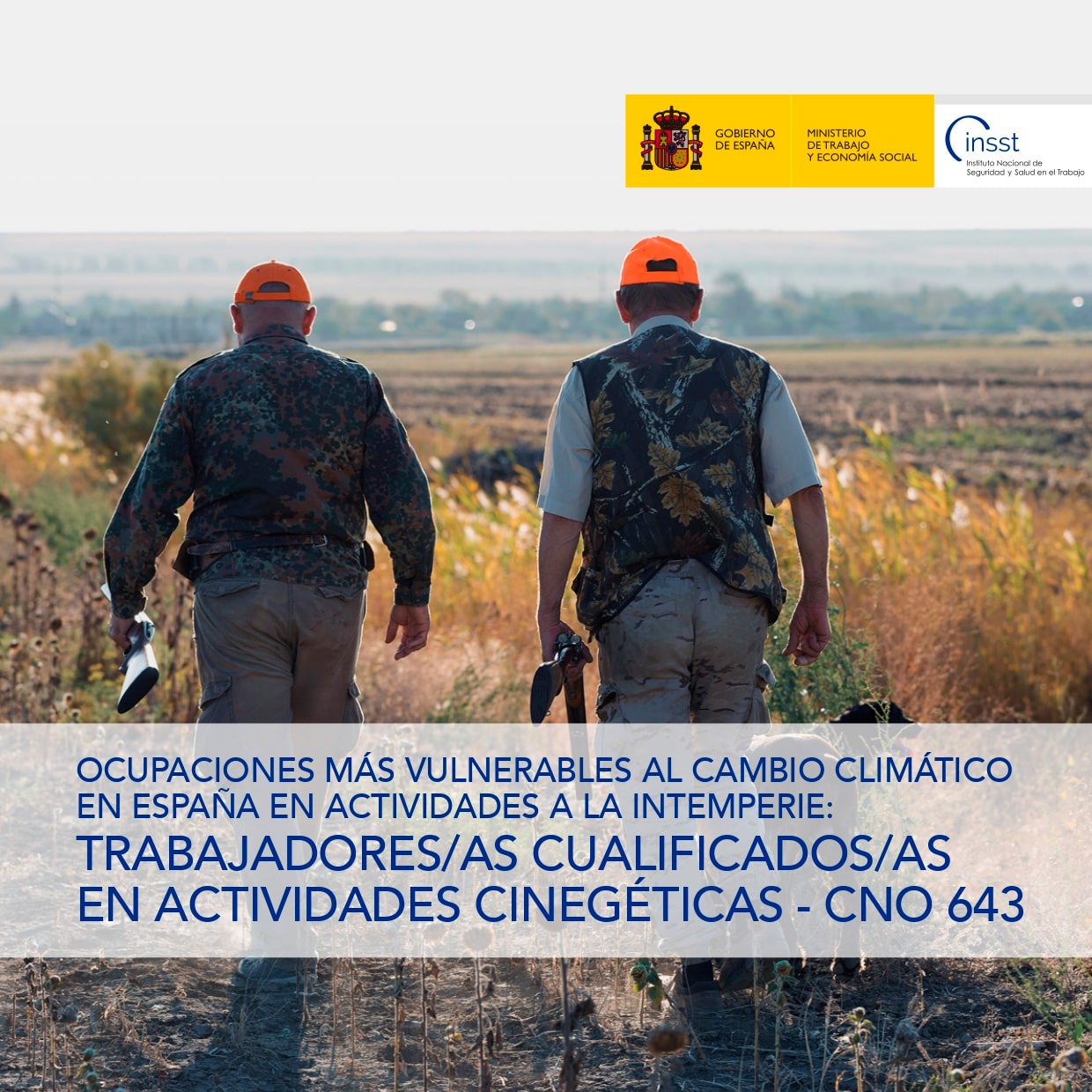 Ocupaciones más vulnerables al cambio climático en España en actividades a la intemperie: Trabajadores/as cualificados/as en actividades cinegéticas - CNO 643 - Año 2025