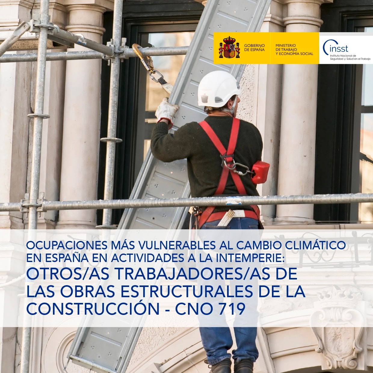 Ficha catalogo detalle tpl n1764907577524