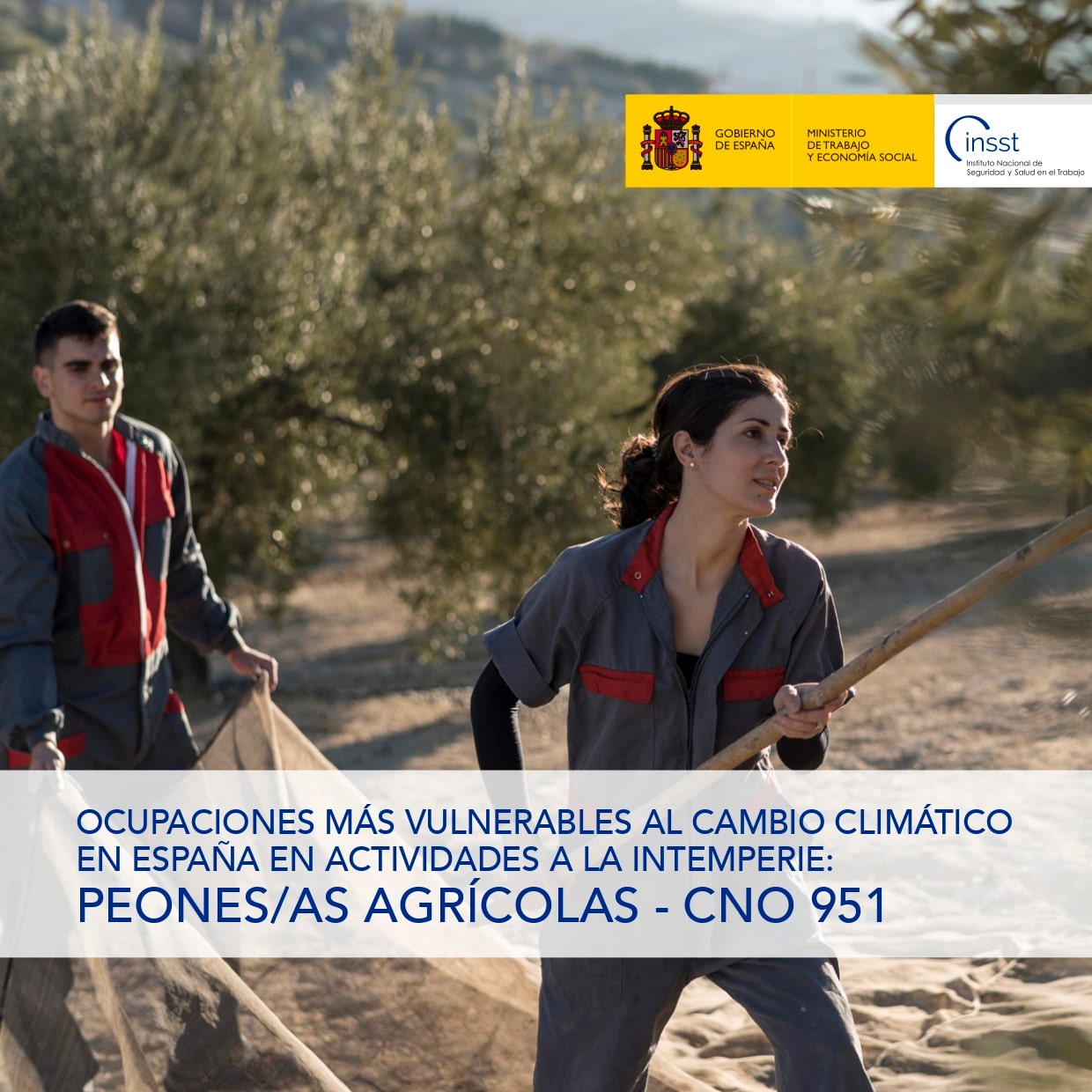 Ocupaciones más vulnerables al cambio climático en España en actividades a la intemperie: Peones/as agrícolas - CNO 951 - Año 2025