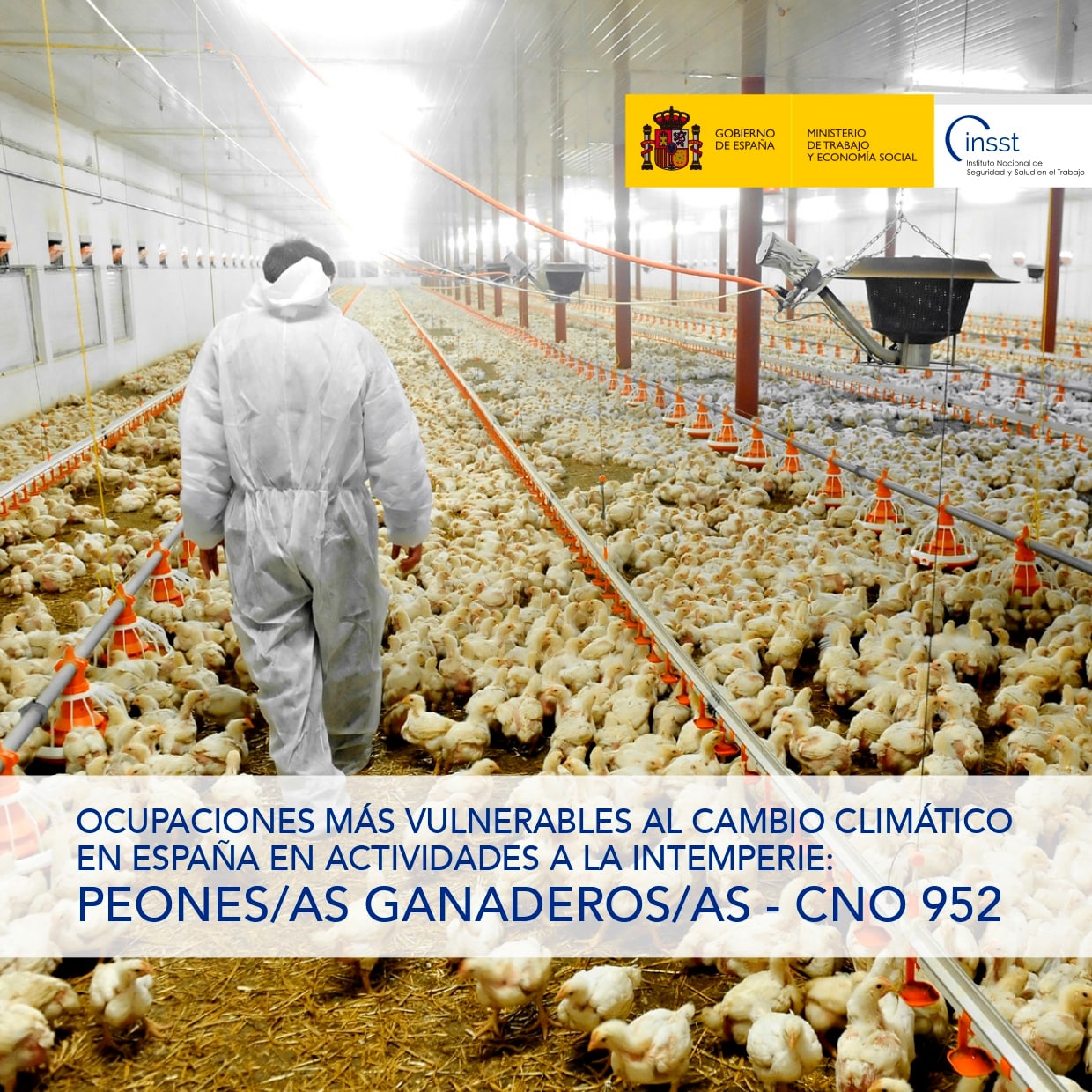 Ocupaciones más vulnerables al cambio climático en España en actividades a la intemperie: Peones/as ganaderos/as - CNO 952 - Año 2025
