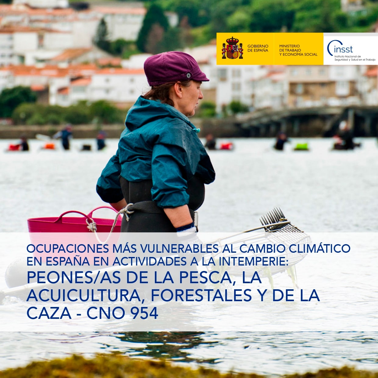 Ocupaciones más vulnerables al cambio climático en España en actividades a la intemperie: Peones/as de la pesca, la acuicultura, forestales y de la caza - CNO 954 - Año 2025