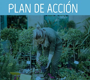 Trabajadora de un invernadero agachada colocando plantas