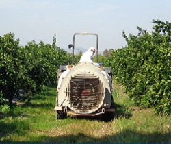 Máquina esparciendo producto fertilizante en un campo de cultivo frutal