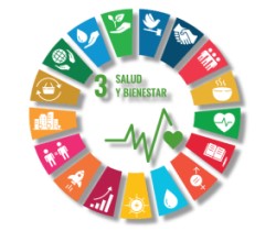 Rueda de colores que representa los objetivos del desarrollo sostenible