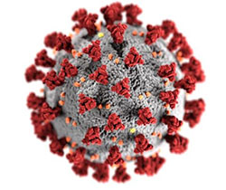 Imagen del virus covid