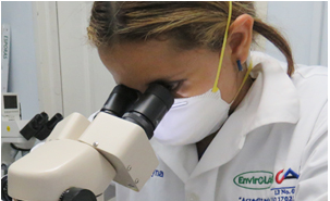 Destacado puede interesarte tpl n1764904351452