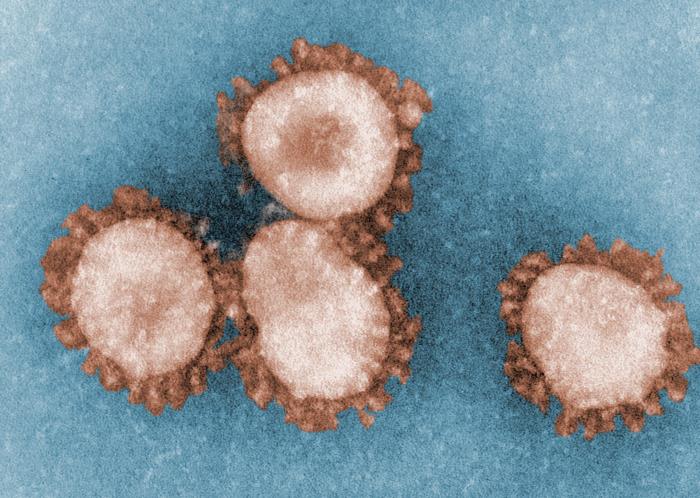 Coronaviridae. CDC Public Health Image Library (PHIL).