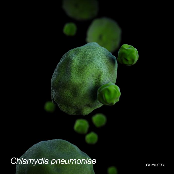 Ilustración de C. pneumoniae. CDC Public Health Image Library (PHIL).
