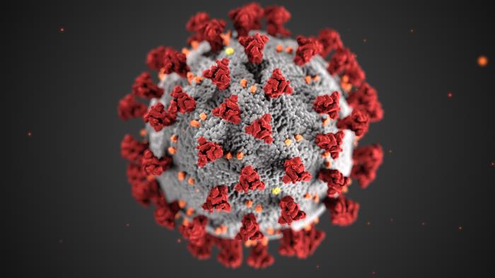 Ilustración de virión de SARS-CoV-2. CDC Public Health Image Library (PHIL).