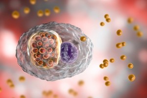 Ilustración de Chlamydia psittaci.