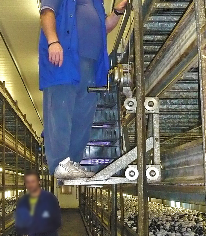 Elevación de la plataforma con un “único” cable