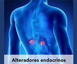 Glándulas suprarrenales. Alteradores endocrinos