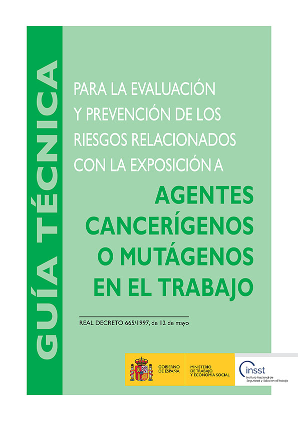 Ficha Catalogo detalle tpl n1775138548155