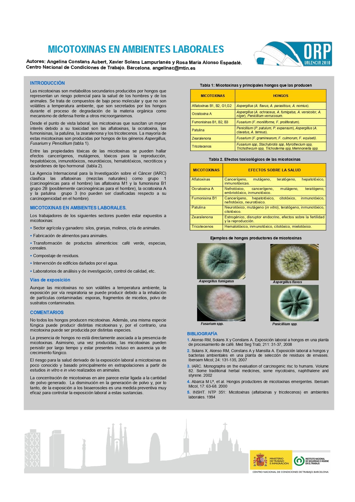 Ficha Catalogo detalle tpl n1764914779967