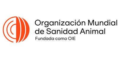 Destacado puede interesarte tpl n1765972402592