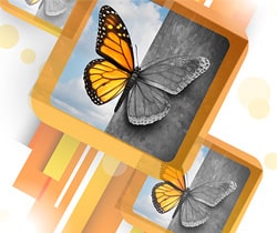 Informe Salud mental y Trabajo