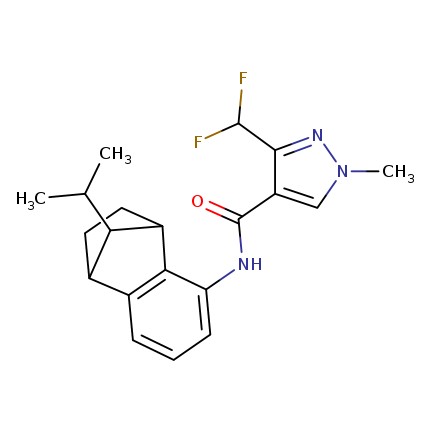 Imagen Masa de reacción de 3-(diflurometil)-1-metil-N-[(1RS,4SR,9RS)-1,2,3,4-tetrahidro-9-isopropil-1,4-metanonaftalen-5-il]pirazol-4-carboxamida y 3-(difluorometil)-1-metil-N-[(1RS,4SR,9SR)-1,2,3,4-tetrahidro-9-isopropil-1,4-metanonaftalen-5-il]pirazol-4-carboxamida  [Contenido relativo mayor del 78% de isómeros syn y menor del 15% de isómeros anti]