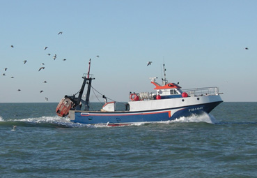Imagen Sector Marítimo Pesquero