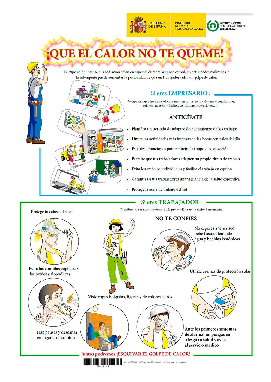 Ficha Catalogo detalle tpl n1766189543471