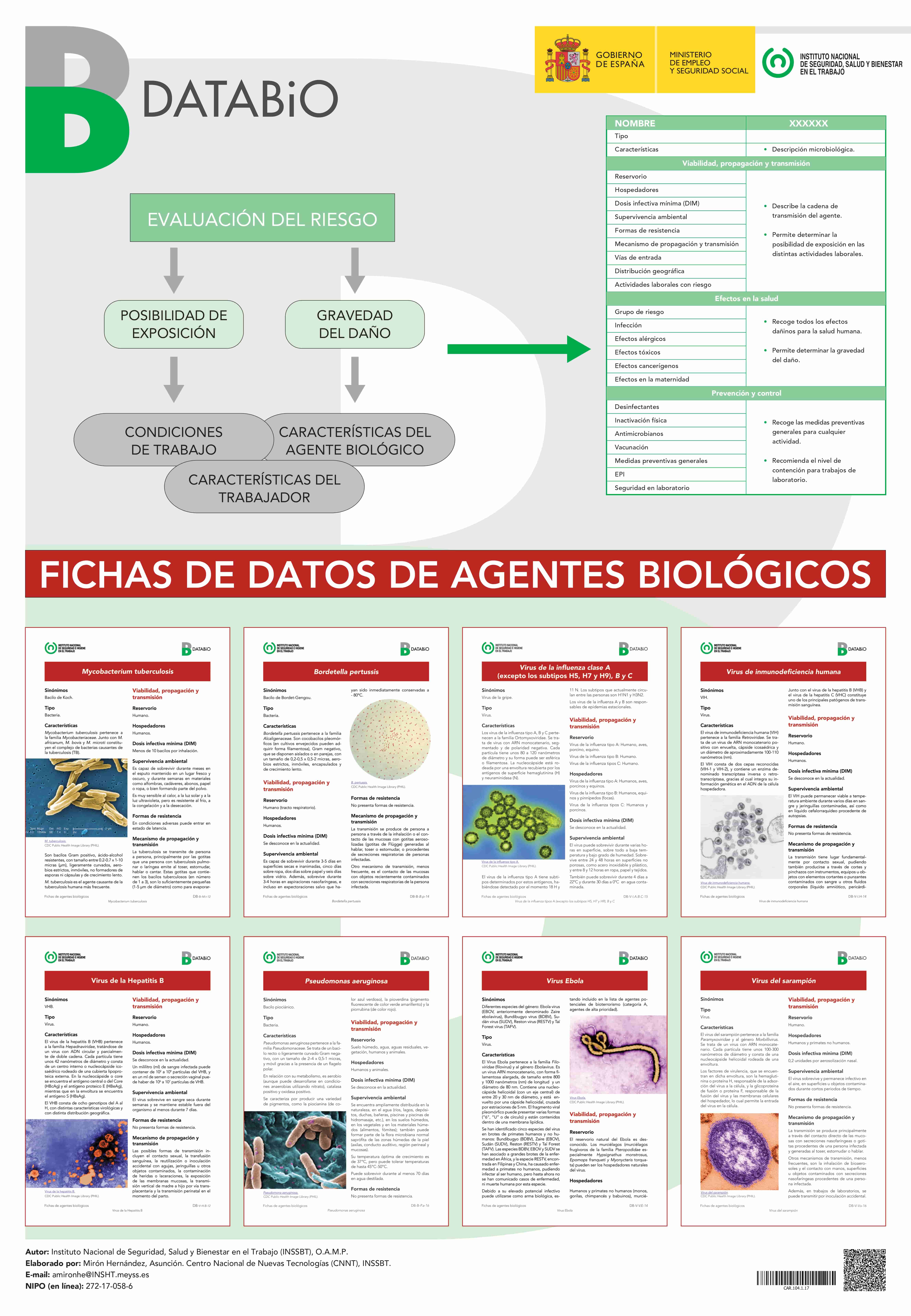 Ficha Catalogo detalle tpl n1766189502828