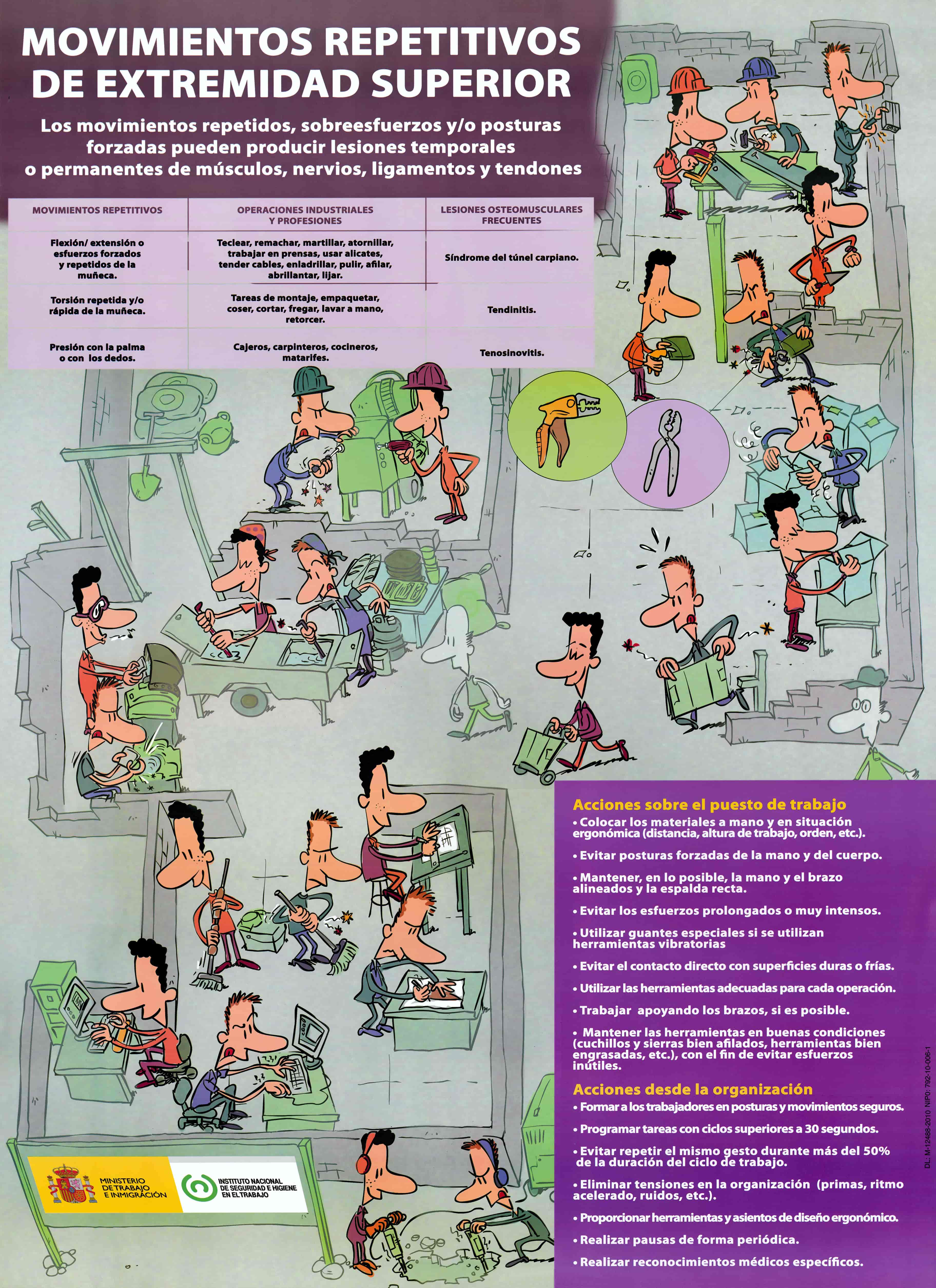 Ficha Catalogo detalle tpl n1766159381942