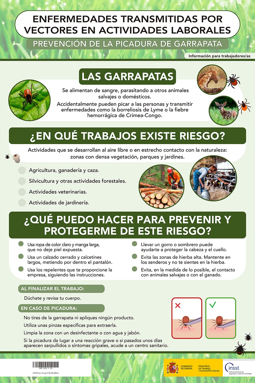 Cartel: Enfermedades transmitidas por vectores en actividades laborales. Prevención de la picadura de garrapata - Año 2024