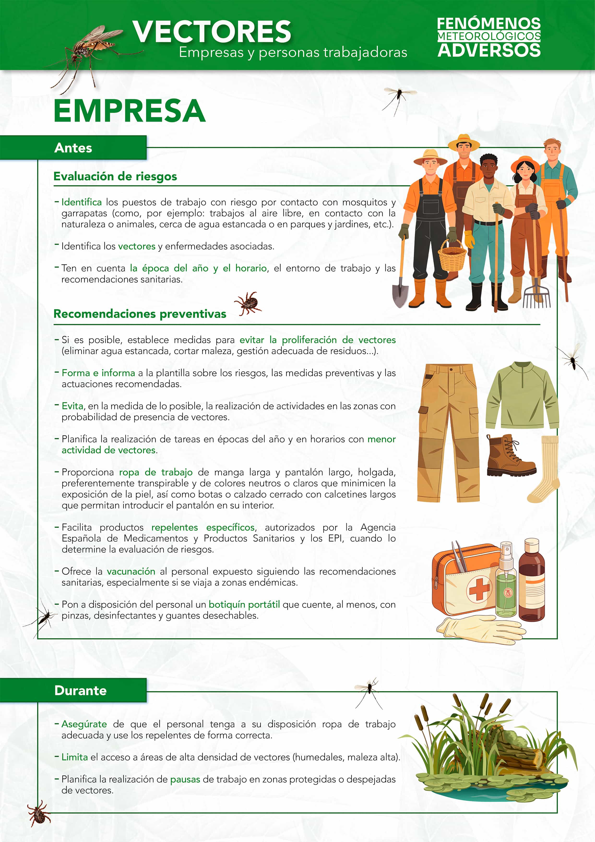Cartel: Vectores - Año 2026