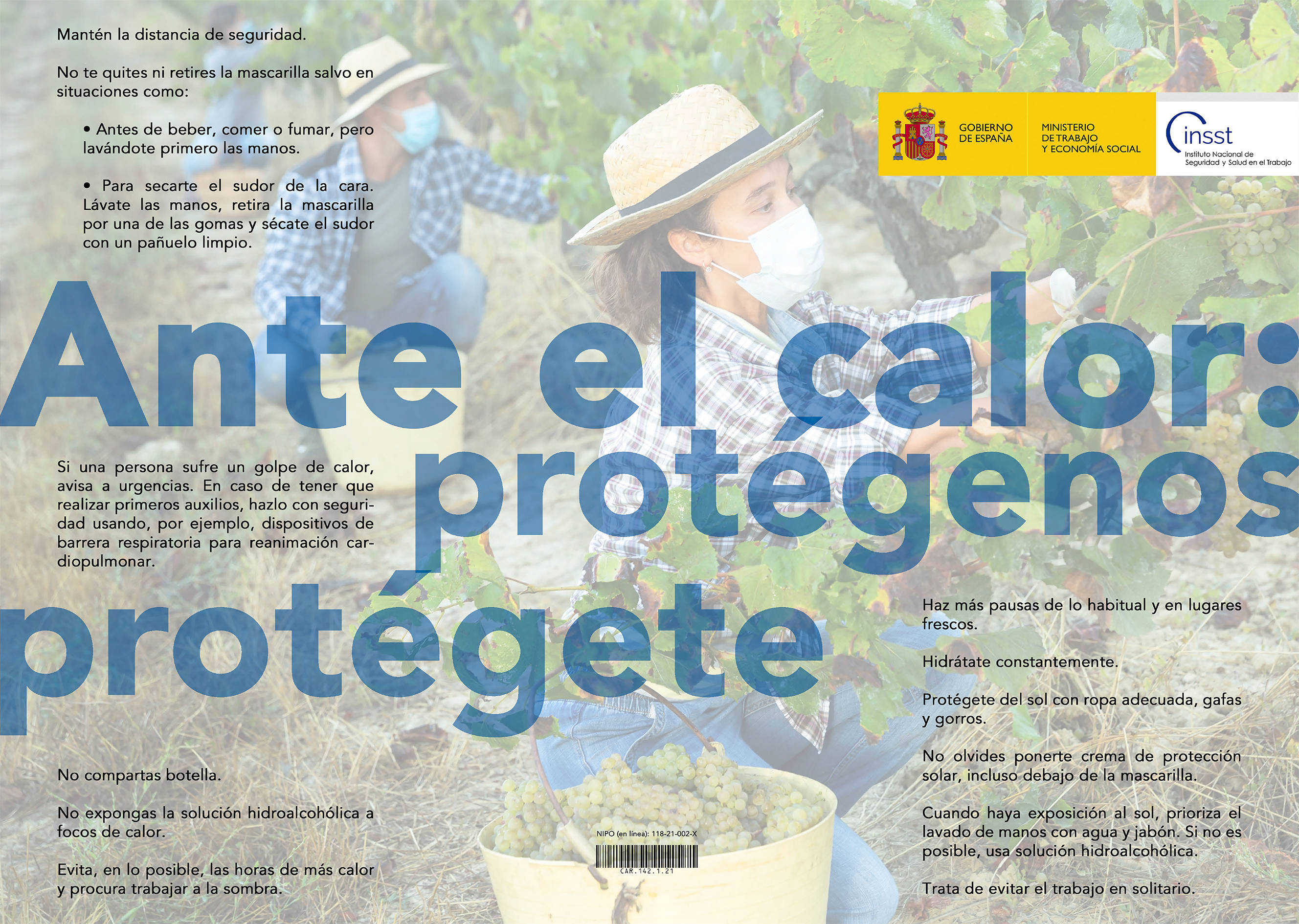 Ficha Catalogo detalle tpl n1764910835800