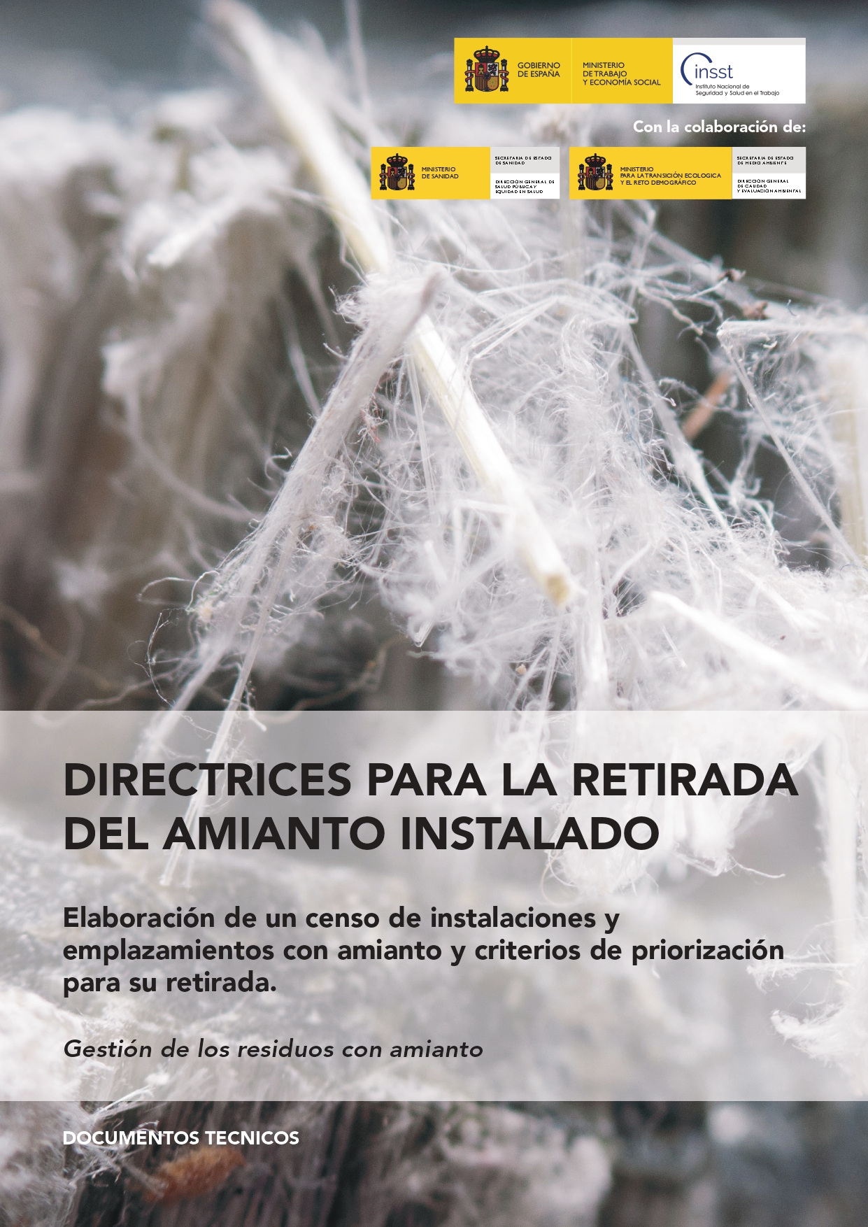 Directrices para la retirada del amianto instalado - Año 2024