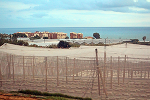 Imagen con multiples invernaderos temporales cerca de la playa