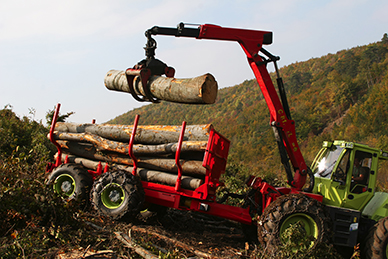 Imagen de un camión cargando troncos de madera