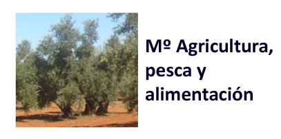 Destacado puede interesarte tpl n1765821592659