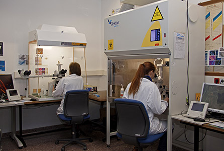 Laboratorio de MO