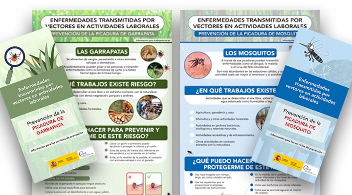 Composición de imágenes formada por la miniatura de los dos carteles y de la primera página de los dos folletos