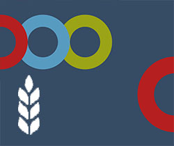 Círculos entrecruzados de colores y una espiga blanca