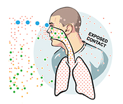 Imagen de un dibujo de hombre, mostrando aparato respiratorio e inhalando partículas en el aire limpio