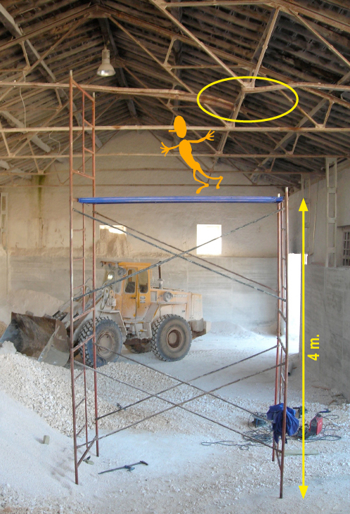 Vista del andamio montado y del corte realizado en la cercha a reparar