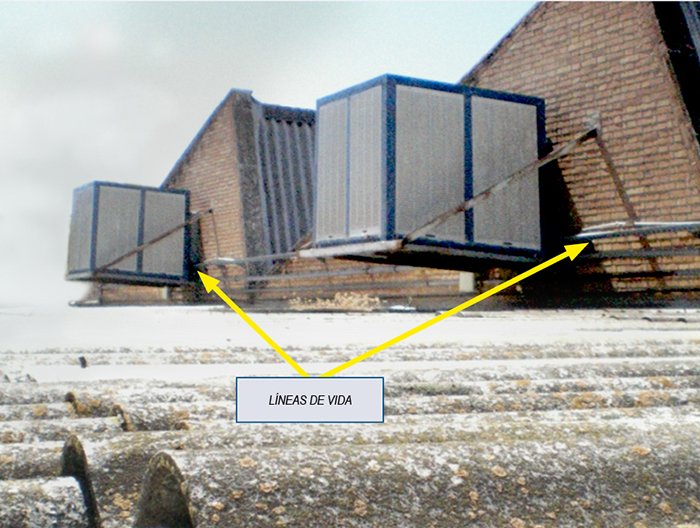 Líneas de vida