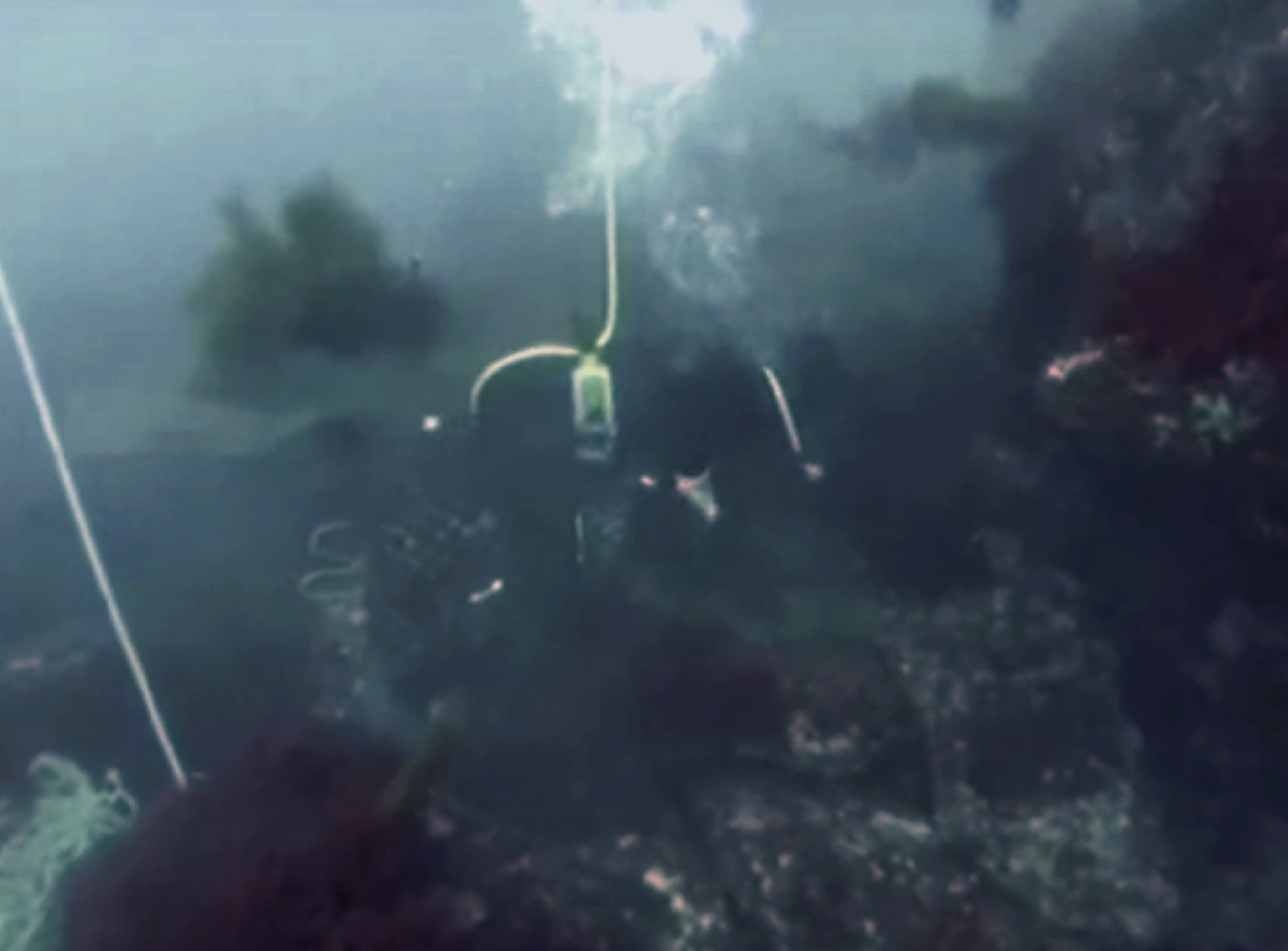 figura 1: inmersión para recolección de algas